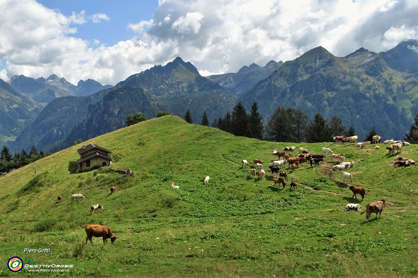 44 Vista sulla verde radura pascoliva del Monte Colle.JPG